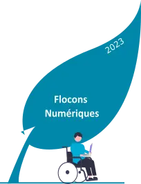 Flocons numériques